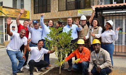 CVC busca andenes para sembrar árboles y reducir hasta 10 grados las islas de calor en Cali