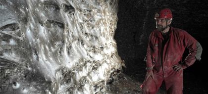 Imagen de  Descubren en una cueva una telaraña con más de 100 000 arañas de dos especies