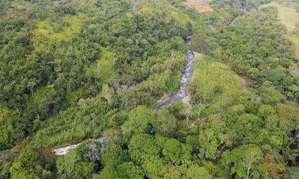 Valle presentará propuestas de región en COP30