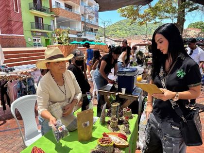 Imagen de  San Carlos fortalece la producción sostenible de cacao