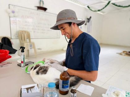 Imagen de  San Carlos fortalece jornadas de esterilización, rescate y adopción: van más de 3 000 animales beneficiados