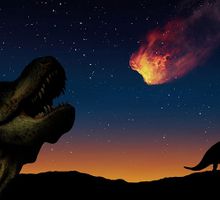 Cinco grandes extinciones masivas ha tenido la tierra