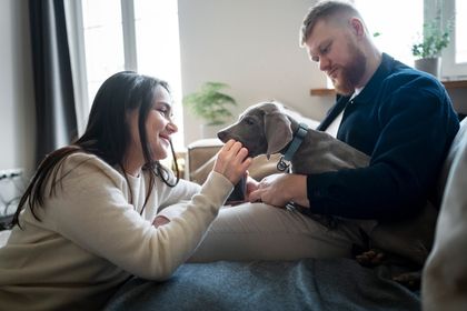 ¿Quién se queda con una mascota en caso de divorcio en Colombia? Existe jurisprudencia al respecto
