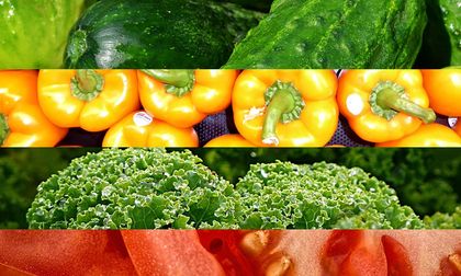 ¿Qué verduras engordan y cuáles adelgazan?