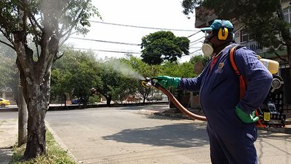 Llamado a evitar  criaderos de zancudos