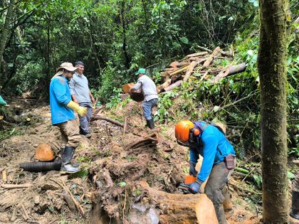 Imagen de  Altavista también ha requerido apoyo de 39 guardacuencas para limpieza de quebradas