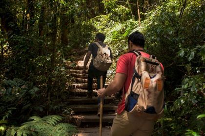 Imagen de  Abejorral, Concepción y San Francisco tienen abierta convocatoria para formarse gratis en turismo de naturaleza