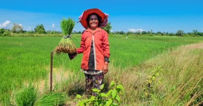 De Camboya al mundo: tecnología española que multiplica cosechas y rentas un 20%
