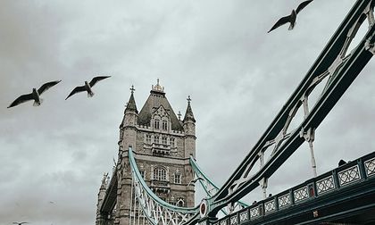Efectos de la contaminación atmosférica durante el embarazo