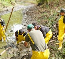 Dagma fortalece las acciones en los humedales de Cali con recarga hídrica, monitoreo de fauna y recuperación ecológica