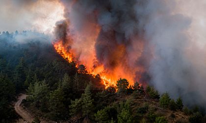 Incendios forestales extremos podrían ser 50% más frecuentes: conozca los riesgos del humo para la salud