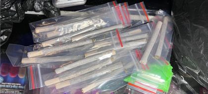 Imagen de Por caninos antinarcóticos, autoridades incautaron 50 paquetes de estupefacientes en El Poblado