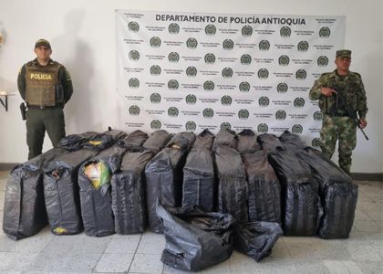 Imagen de  Cargamento de marihuana incautado en Sonsón era de casi una tonelada, Policía entregó detalles