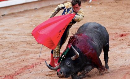 Imagen de  Por quinta vez, el Congreso hundió la prohibición de las corridas de toros en el país