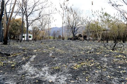 Imagen de  Advierten que incendios en Colombia son provocados y fenómeno de El Niño alimenta las llamas