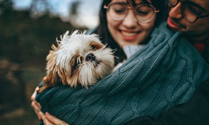 ¿Las mascotas están reemplazando a los hijos?