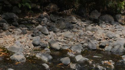 Caudales de los ríos Cali y Meléndez vuelven a bajar: conozca las cifras y los sectores con abastecimiento