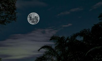 ¿Qué planeta puede ser visto junto a la Luna en febrero?