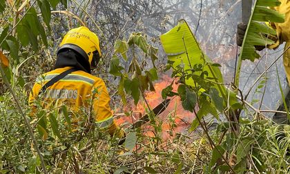 Gestión del Riesgo atiende incendio forestal en Pichindé