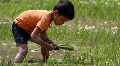 Explotación laboral, transparencia en la cadena de suministro y ‘compliance’