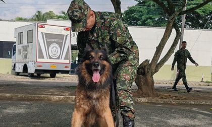 Ejército fortalece atención médica para sus perros entrenados en el Valle del Cauca