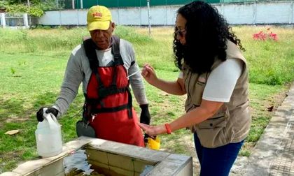 Altas temperaturas aumentan presencia de zancudos en el Valle