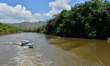 El río Cauca sigue vivo