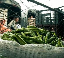 Gremios advierten millonarias pérdidas por atentados