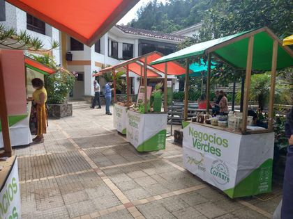 Imagen de  Excelente balance han arrojado los negocios verdes en el Oriente: Cornare