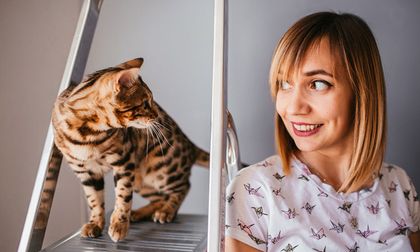 Tu gato mira fijamente a la nada: ¿qué está viendo?