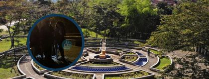 Imagen de Identifican a las cuatro víctimas de la masacre en San Rafael