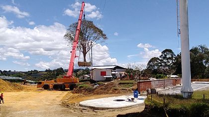 Imagen de  En El Carmen se realizó el trasplante de un guayacán de Manizales de 32.1 toneladas