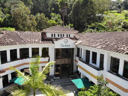 Imagen de  ¡Un logro más! Cornare se certificó en Carbono Neutralidad