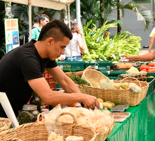 La Plaza de Cayzedo será escenario de una jornada cultural, deportiva y de mercado campesino