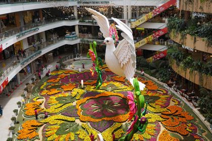 Imagen de  Una paloma gigante adorna a Medellín en el tapete de flores naturales más grande del mundo
