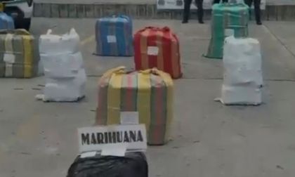 Incautan marihuana en vía del Valle