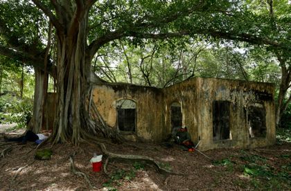 Imagen de  Armero: el pueblo fantasma de Colombia que arrasó una avalancha y que se resiste al olvido