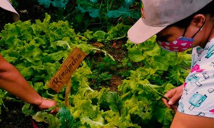 Mujeres emprendedoras en zonas rurales