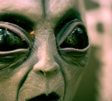 ¿Qué razas extraterrestres nos estarían visitando y de dónde vienen?