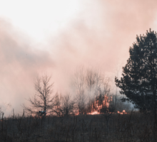 Incendios forestales durante el embarazo aumentan el riesgo de bajo peso y parto prematuro