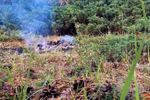 Imagen de Corantioquia pide activar planes de contingencia municipales ante fenómeno de El Niño