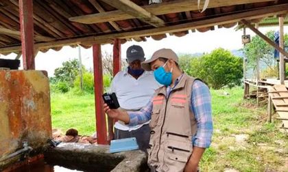 “Pintura repelente” para combatir el dengue