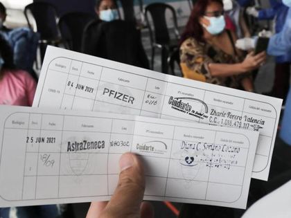 Imagen de Carné de vacunación contra el COVID-19 será obligatorio para el ingreso a lugares públicos