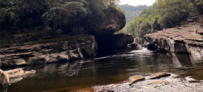 Imagen de  Crecimiento del 8,5 % en turismo internacional en Colombia contrasta con caída del 24,9 % en turismo local