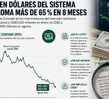 La caja en dólares del sistema financiero se desploma más de 65 % en ocho meses