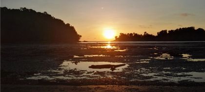 Imagen de  Satena inaugura rutas hacia el Pacífico: Timbiquí, Nuquí y Bahía Solano hacen parte de los destinos