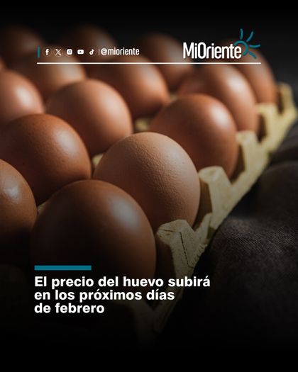 Imagen de  El precio del huevo subirá en los próximos días de febrero