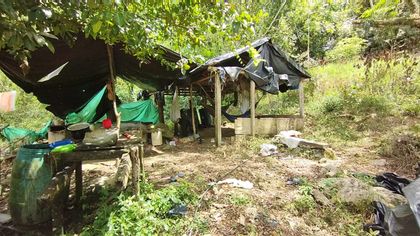 Imagen de  Dos laboratorios para procesamiento de pasta base de coca fueron destruidos en el Oriente