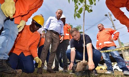 Cali terminará 2023 con cincuenta mil árboles sembrados