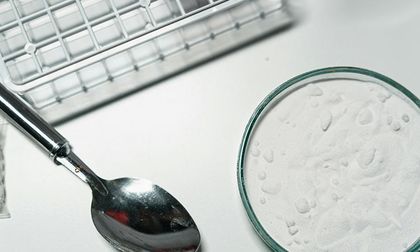 Estudio revela que la cocaína reconfigura el hipocampo